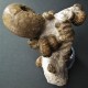 Fossilienstufe