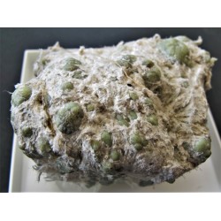 Demantoid xx, Asbest