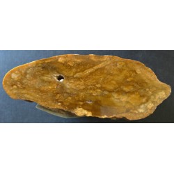 Hornstein (Silex)
