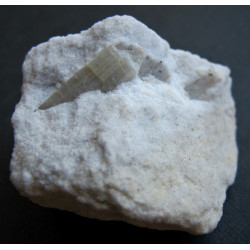 Tremolit (Grammmatit)