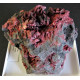 Erythrin xx