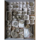 Fossiliensammlung