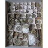 Fossiliensammlung
