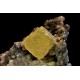 Schwefel xx