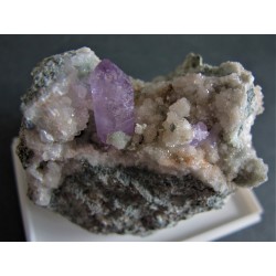 Amethyst xx
