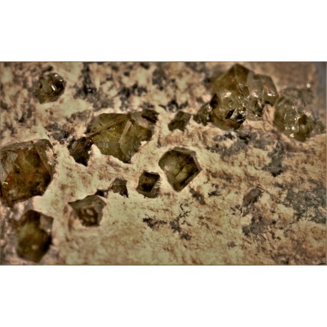 Demantoid xx