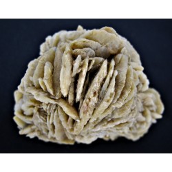 Sandrose (Gips)