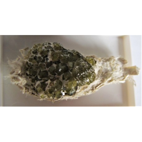 Demantoid xx, "Andradit" in Asbest