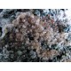 Granat rosa xx, Diopsid, Klinochlor