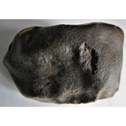 Steinmeteorit